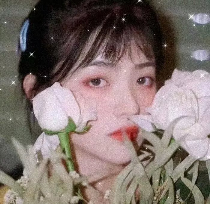 吃人的素食者